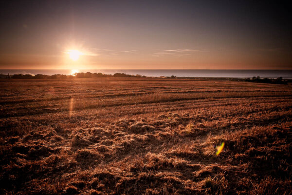 Datum: 2012:08:11 20:26:51