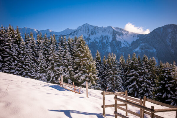 Datum: 2013:12:30 15:25:01