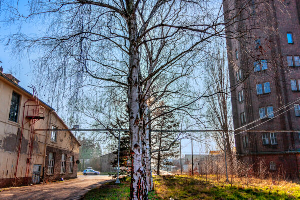 Datum: 2014:03:09 16:18:20 links Kesselhaus, rechts Wasserturm, rechts im Hintegrund die Lokricht-Halle