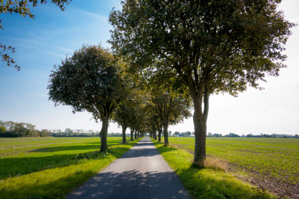 Datum: 2014:09:05 15:32:22 Auf dem Lande bei Magleby, Stevns Kommune, Insel Seeland