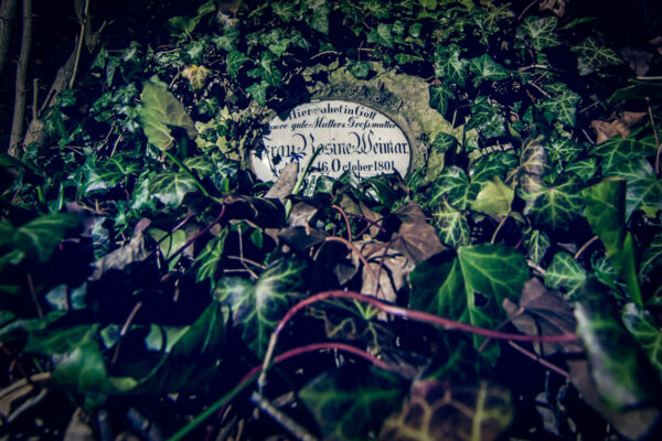 Datum: 2015:04:03 23:33:21 Johannisfriedhof Jena - Der Friedhof wurde im Mittelalter wahrscheinlich im Zuge der planmäßigen Stadtanlage Jenas außerhalb der Stadtmauern errichtet. Seit den 1940er Jahren wurden keine weitere Grabstätten angelegt und seit 1978 wird der Johannisfriedhof nur mehr als Park genutzt.
