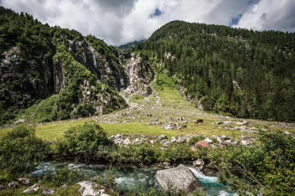 Datum: 2016:07:24 11:44:10 Ein letztes Bild aus dem Habachtal, bevor es im Auto gen Heimat geht.