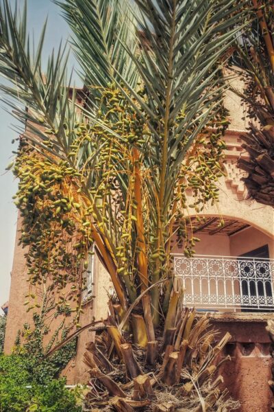 Datum: 2025:08:26 11:28:35